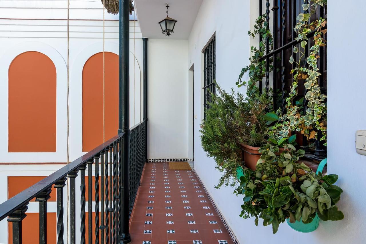 More Center Apartment, Seville